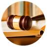 Litigation Law Firm in Tavares Lake County Florida