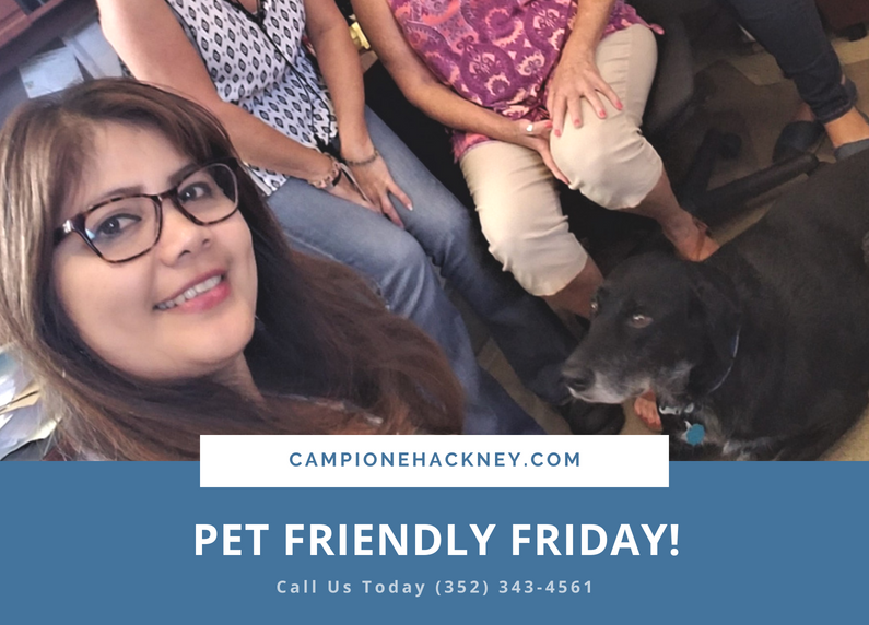 Pet Friendly Friday Law Firm
